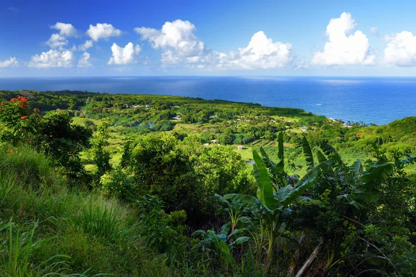 Scenic Views Maui North Coast Seen Road Hana Hawaii Usa — Stock Photo, Image