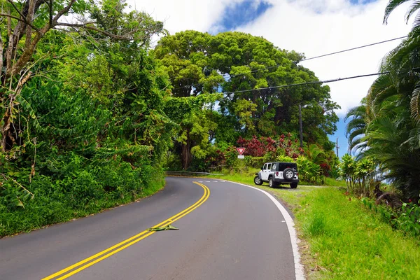有名な道をハナ マウイ島 ハワイの美しい景色 — ストック写真