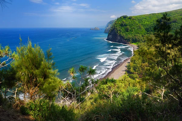 夏威夷大岛 Pololu 山谷岩石海滩景观景观 — 图库照片