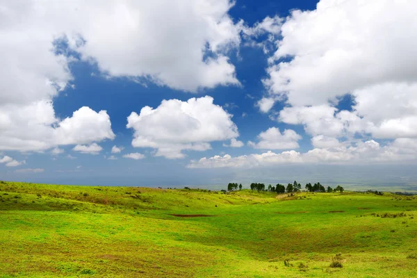 Vista Panorámica Del Paisaje Maui Con Nubes Blancas Sobre Campos — Foto de Stock