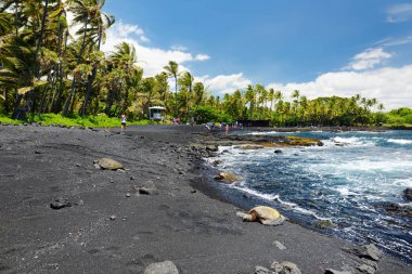 Hawaiian yeşil kaplumbağalar rahatlatıcı Punaluu siyah kum Plajı üzerinde büyük Hawaii adasında, ABD
