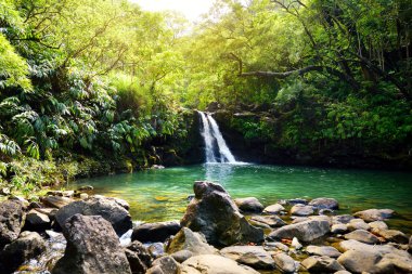 Tropik şelale alt Waikamoi Falls ve küçük gölet, Maui, Hawaii, ABD