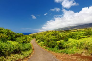 arka Haleakala krater ada Maui, Hawaii, ABD
