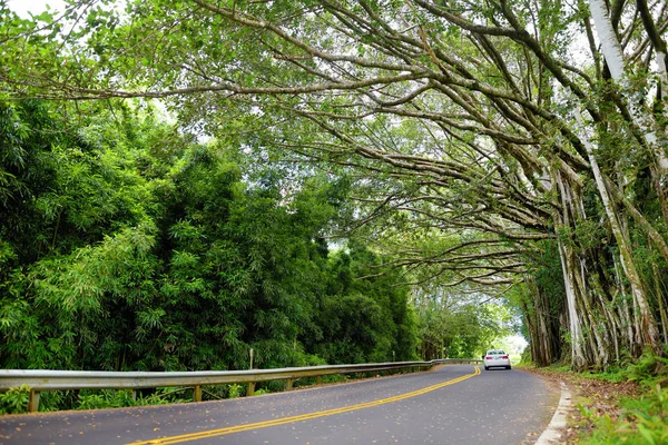 Vista Panorâmica Famosa Estrada Para Hana Maui Havaí — Fotografia de Stock