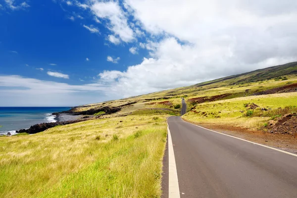 하와이 마우이 섬에서 Haleakala 분화구의 — 스톡 사진