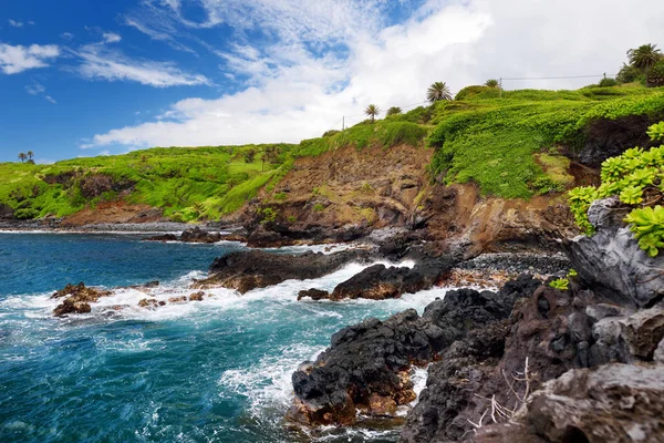 Drsný Skalnaté Pobřeží Jižním Pobřeží Maui Havaj Usa — Stock fotografie