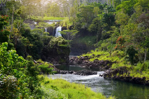 Vista Panorâmica Cachoeira Pee Pee Falls Hilo Wailuku River State — Fotografia de Stock
