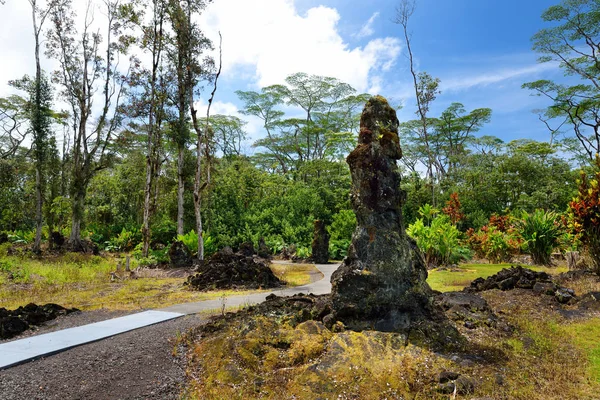 Lava Formar Trädstammar Lava Tree Statligt Monument Stora Hawaii Usa — Stockfoto