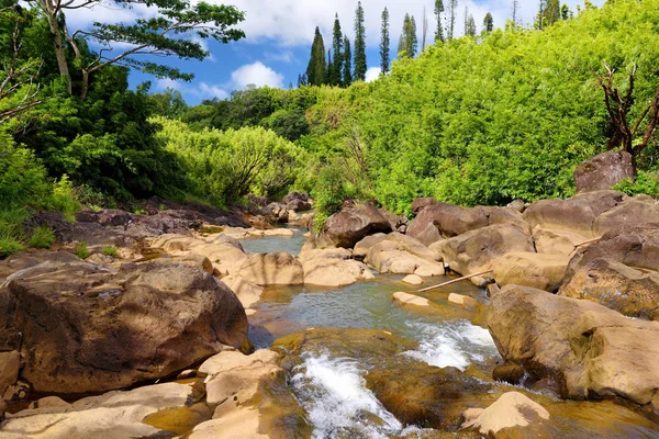 Pohled Datového Proudu Který Teče Mezi Skalami Maui Island Havaj — Stock fotografie