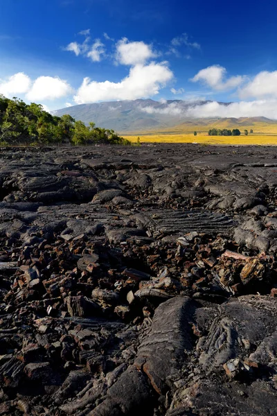 Surface Rugueuse Lave Gelée Après Éruption Volcan Mauna Loa Sur — Photo