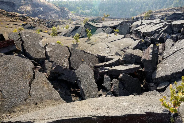 Cratère Volcanique Kilauea Iki Surface Avec Roche Lave Ruine Dans — Photo