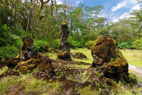 Ağaç Gövdeleri Lav Ağaç Devlet Anıt Üzerinde Büyük Hawaii Adasında — Stok fotoğraf