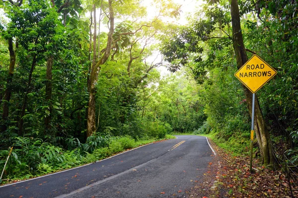 Road Sign Famous Road Hana Maui Hawaii — Stock Photo, Image