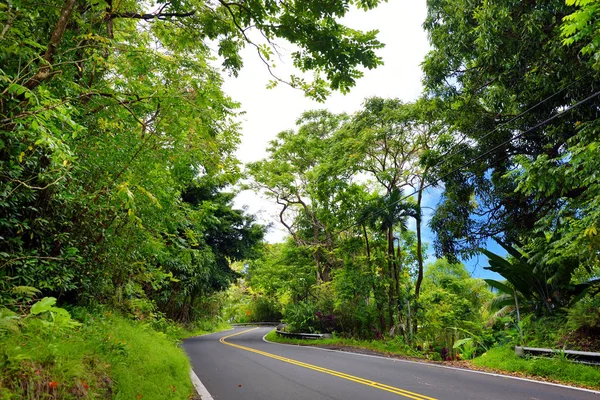 Vista Panoramica Della Famosa Road Hana Maui Hawaii — Foto Stock