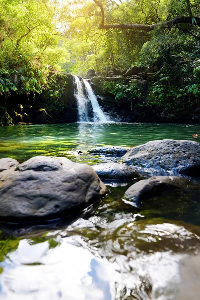 Тропічний Водоспад Нижньому Waikamoi Водоспаду Невеликий Ставок Мауї Гаваї Сша — стокове фото