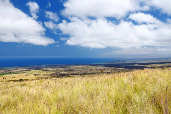 하와이 미국의 남쪽의 — 스톡 사진