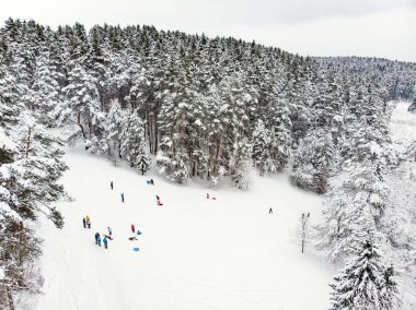 Karla kaplı ormanın güzel manzarası. Çocuklar ve yetişkinler dışarıda eğleniyorlar. Soğuk kış günü.