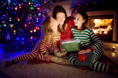Mutlu genç anne ve iki küçük kızı Noel arifesinde karanlık bir oturma odasında şöminenin yanında sihirli bir Noel hediyesi açıyorlar..