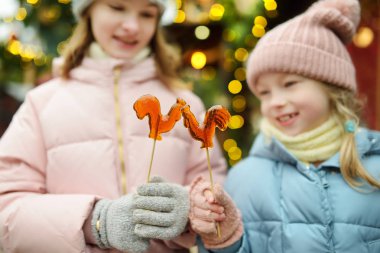 Riga, Letonya 'da geleneksel Noel fuarında horoz şeklinde lolipopları olan iki sevimli kız kardeş. Çocuklar Xmas pazarında tatlı, şeker ve zencefilli ekmek yiyor..