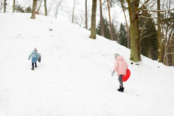 美しい冬の公園で一緒に楽しんでいる2人の愛らしい若い女の子。雪の中で遊んでかわいい姉妹。子供のための冬の家族活動. — ストック写真