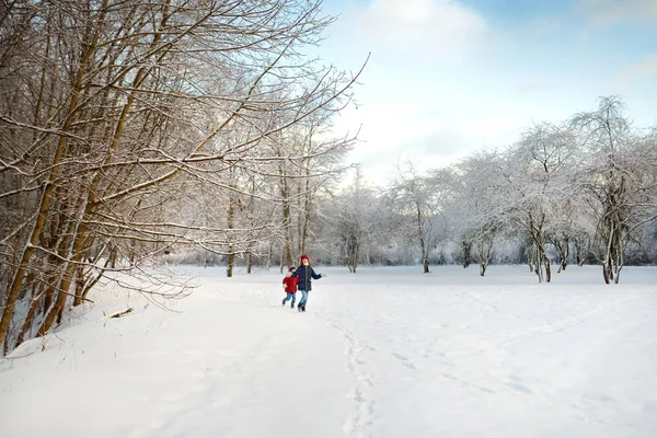 美しい冬の公園で一緒に楽しんでいる2人の愛らしい若い女の子。雪の中で遊んでかわいい姉妹。子供のための冬の家族活動. — ストック写真