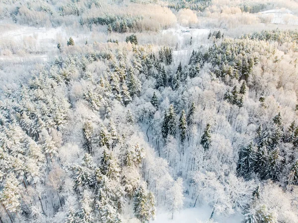 Schöne Luftaufnahme von schneebedeckten Kiefernwäldern. Reifglätte und Raureif bedecken Bäume. malerische Winterlandschaft in Vilnius, Litauen. — Stockfoto