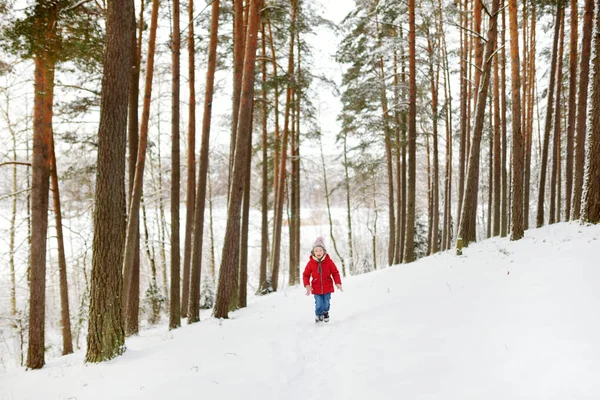 美しい冬の公園で楽しんでいる愛らしい若い女の子。雪の中で遊ぶかわいい子供。子供連れの家族のための冬の活動. — ストック写真