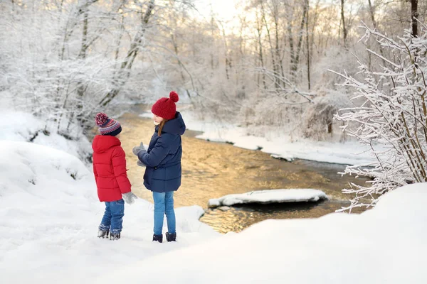 Due adorabili ragazze che si divertono insieme nel bellissimo parco invernale vicino a un fiume. Sorelle carine che giocano nella neve. Attività invernali per famiglie per bambini . — Foto Stock