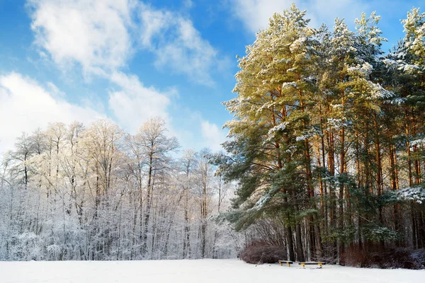 Schöne Aussicht auf schneebedeckten Wald. Reifglätte und Raureif bedecken Bäume. kühler Wintertag. Winterlandschaft bei Vilnius, Litauen. — Stockfoto