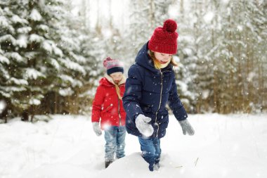 İki sevimli genç kız güzel kış parkında birlikte eğleniyorlar. Karda oynayan sevimli kız kardeşler.