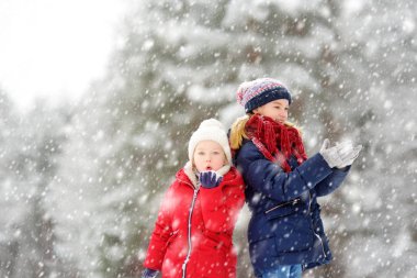 İki sevimli genç kız güzel kış parkında birlikte eğleniyorlar. Karda oynayan sevimli kız kardeşler. Çocuklu aileler için kış etkinlikleri.