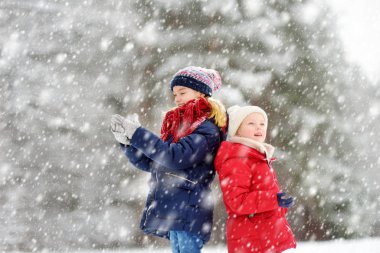 İki sevimli genç kız güzel kış parkında birlikte eğleniyorlar. Karda oynayan sevimli kız kardeşler.