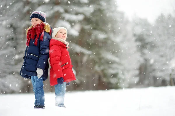 美しい冬の公園で一緒に楽しんでいる2人の愛らしい若い女の子 雪の中で遊んでかわいい姉妹 子供連れの家族のための冬の活動 — ストック写真