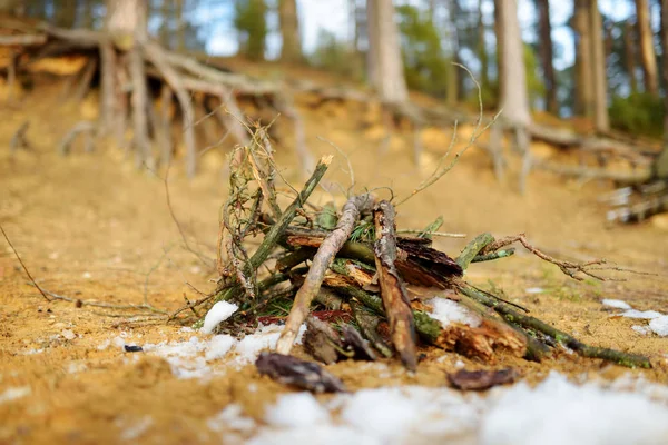 Feu Forêt Prêt Démarrer Amusez Vous Dans Camping Famille Entre — Photo