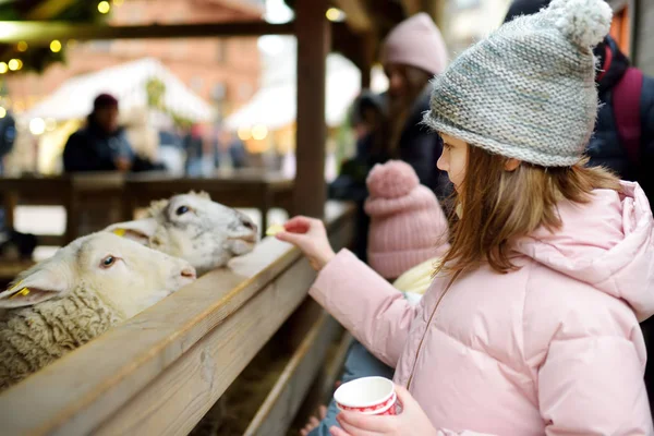 Two cute young sisters having fun feeding sheep in a small petting zoo on traditional Christmas market in Riga, Latvia. Happy winter activities for kids. Feeding holiday animals.