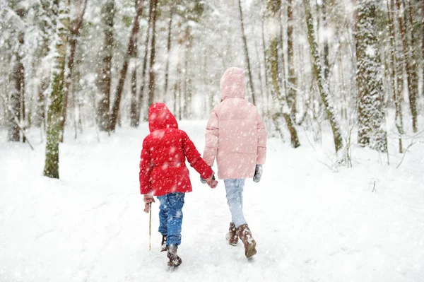 Duas garotinhas adoráveis se divertindo juntas na bela floresta de inverno. Lindas irmãs brincando em uma neve . — Fotografia de Stock