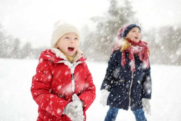 Twee schattige jonge meisjes die samen plezier hebben in het prachtige winterpark. Leuke zusjes spelen in een sneeuw. — Stockfoto