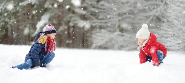 美しい冬の公園で一緒に楽しんでいる2人の愛らしい若い女の子。雪の中で遊んでかわいい姉妹. — ストック写真