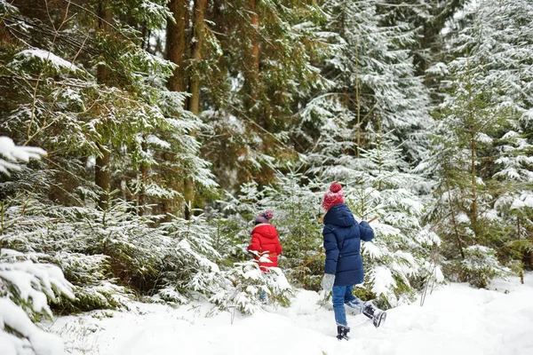 Duas garotinhas adoráveis se divertindo juntas na bela floresta de inverno. Lindas irmãs brincando em uma neve . — Fotografia de Stock