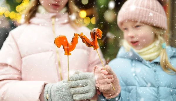 ラトビアのリガで開催される伝統的なクリスマスフェアには、鶏の形をしたロリポップを持つ2人の愛らしい姉妹。クリスマスマーケットでお菓子やキャンディー、ジンジャーブレッドを楽しむ子供たち. — ストック写真