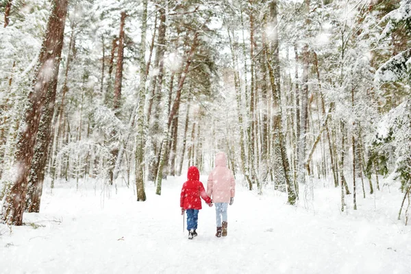 美しい冬の森で一緒に楽しんで二人の愛らしい少女 美しい姉妹が 雪で遊ぶ 子供のための冬のアクティビティ — ストック写真