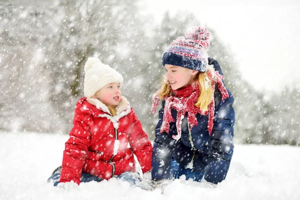 Due Adorabili Ragazze Divertono Insieme Nel Bellissimo Parco Invernale Sorelle — Foto Stock