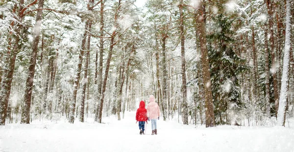 Twee Schattige Kleine Meisjes Samen Plezier Mooie Winter Woud Mooie — Stockfoto