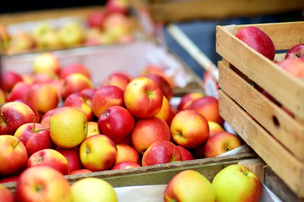 Fresh Red Yellow Apples Wooden Crates Sold Farmers Food Market — ストック写真