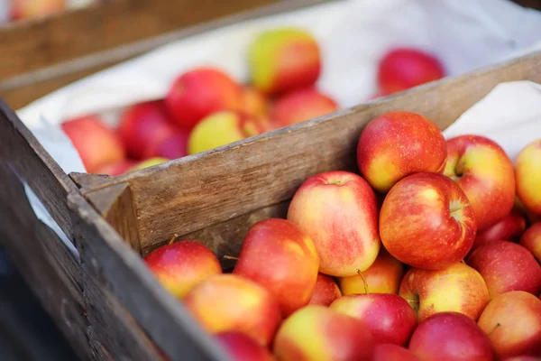 리투아니아 뉴스에서는 열리는 시장에서 농부들에게 판매되는 상자에 사과와 — 스톡 사진