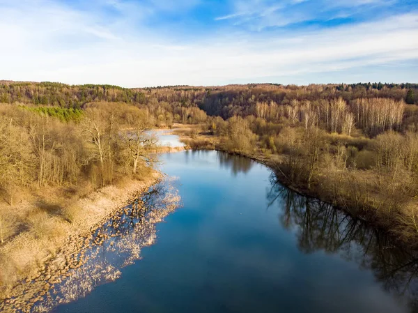 Aerial top down view of lake coast overgrown with sedge and dry grass. — Stock Photo, Image