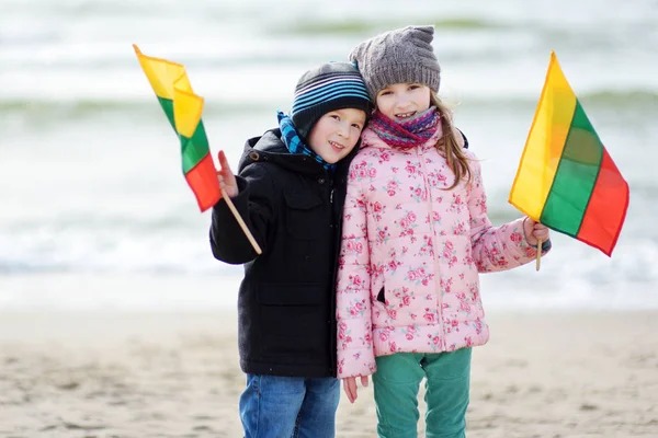 Adorable little brother and sister celebrating Lithuanian Independence Day holding tricolor Lithuanian flags — Stock Photo, Image