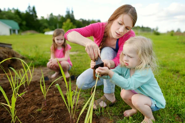 Two cute little sisters helping their mother to plant seedlings in a garden. Children taking part in outdoor household chores. — Stock Photo, Image