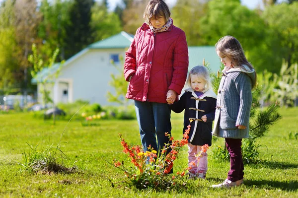 Duas irmãs mais novas bonitos ajudando sua avó em um jardim. Crianças que participam em tarefas domésticas ao ar livre . — Fotografia de Stock