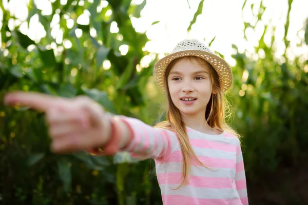 Schattig jong meisje die plezier heeft in een maïsdoolhof in het najaar. Games en entertainment tijdens de oogst tijd. — Stockfoto